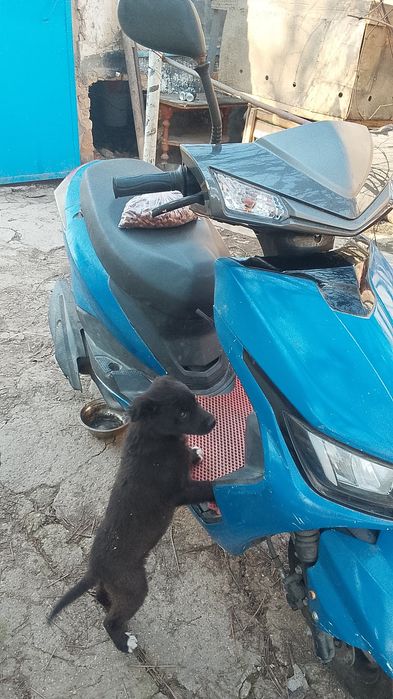 Продам скутер м8на ходу стоит на учёте цена 110000