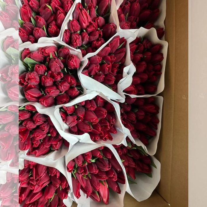 Продам тюльпаны!!!