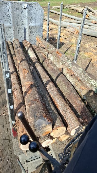 Lemn foc fag, transport inclus! Doar localitățile enumerate!tl