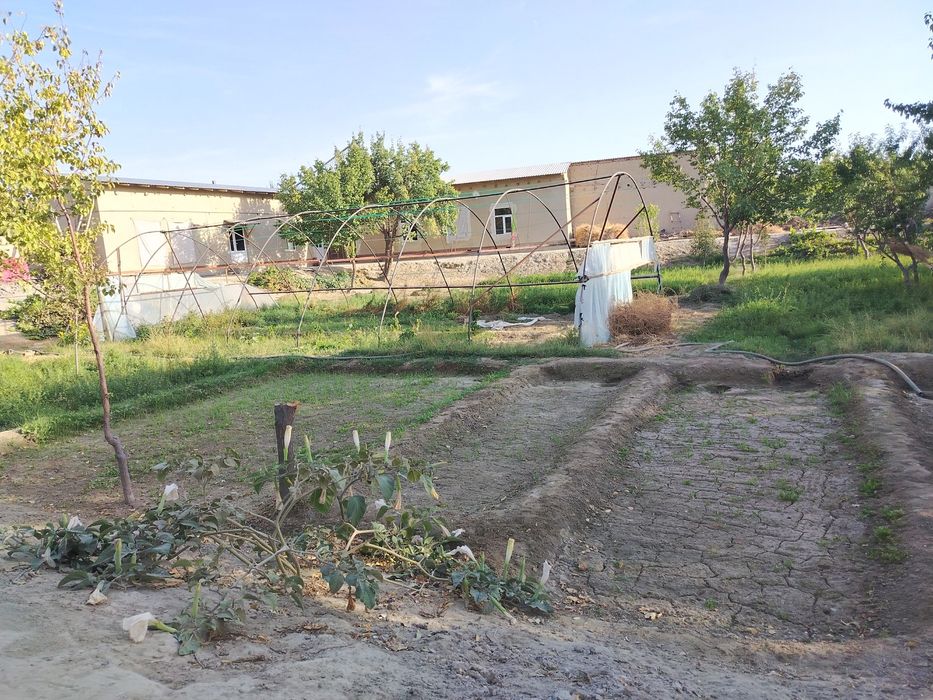 Tayyor parnik sotiladi