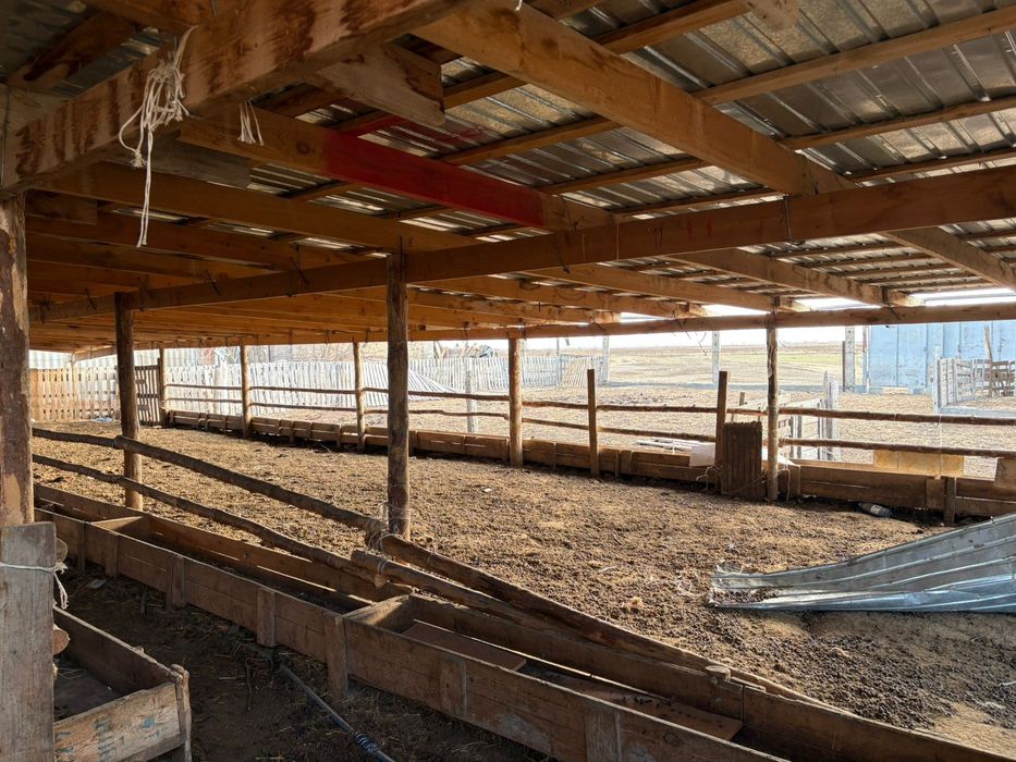 Фазенда мал баққанға өте ыңғайлы