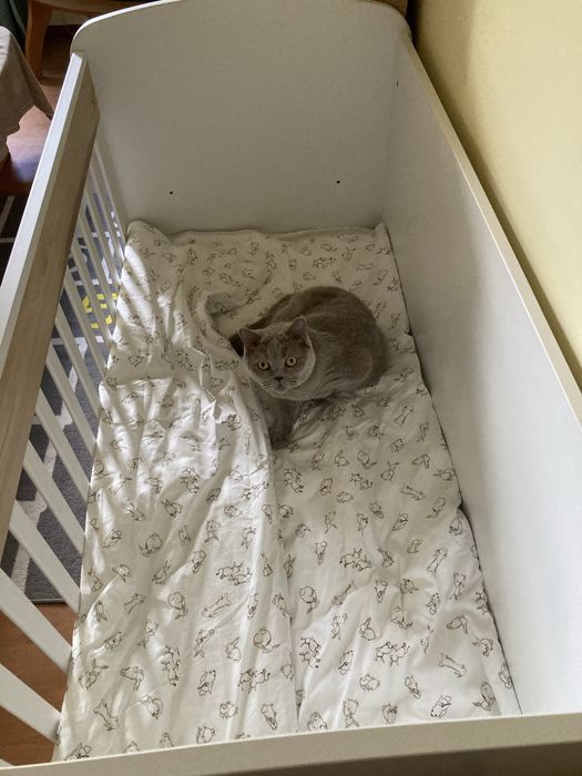 Детско легло „Лазур 1“ (60×120) + матрак