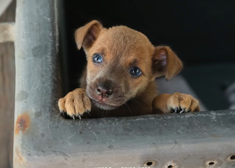 Evenimente//Poze//Fotografii//Servicii//Fotograf