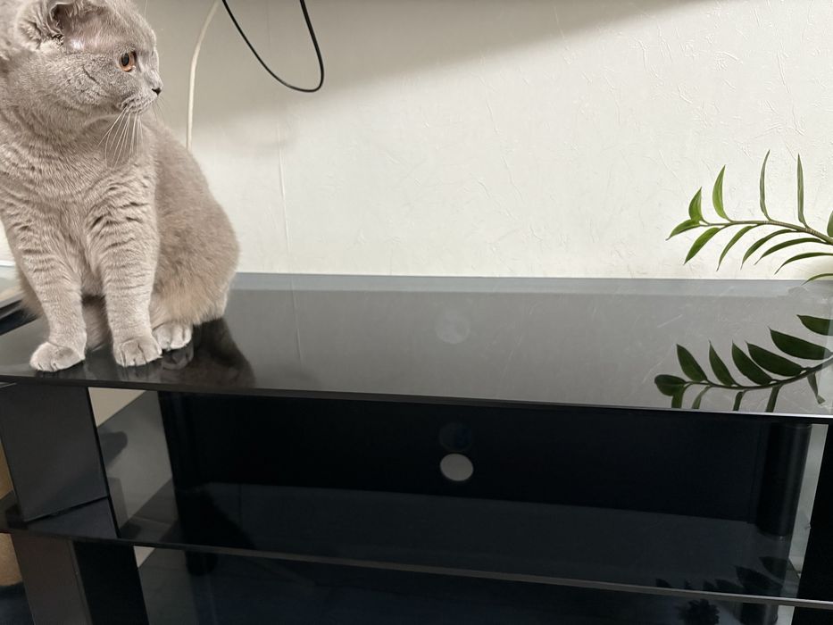 Стеклянный стол