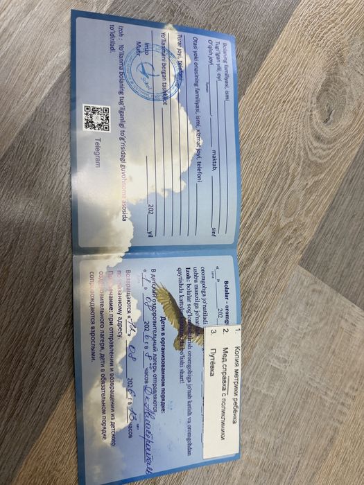 Продам путевку в лагерь Sokol - 5 смена