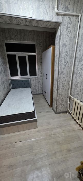 Аренда Зенит Альфарганус