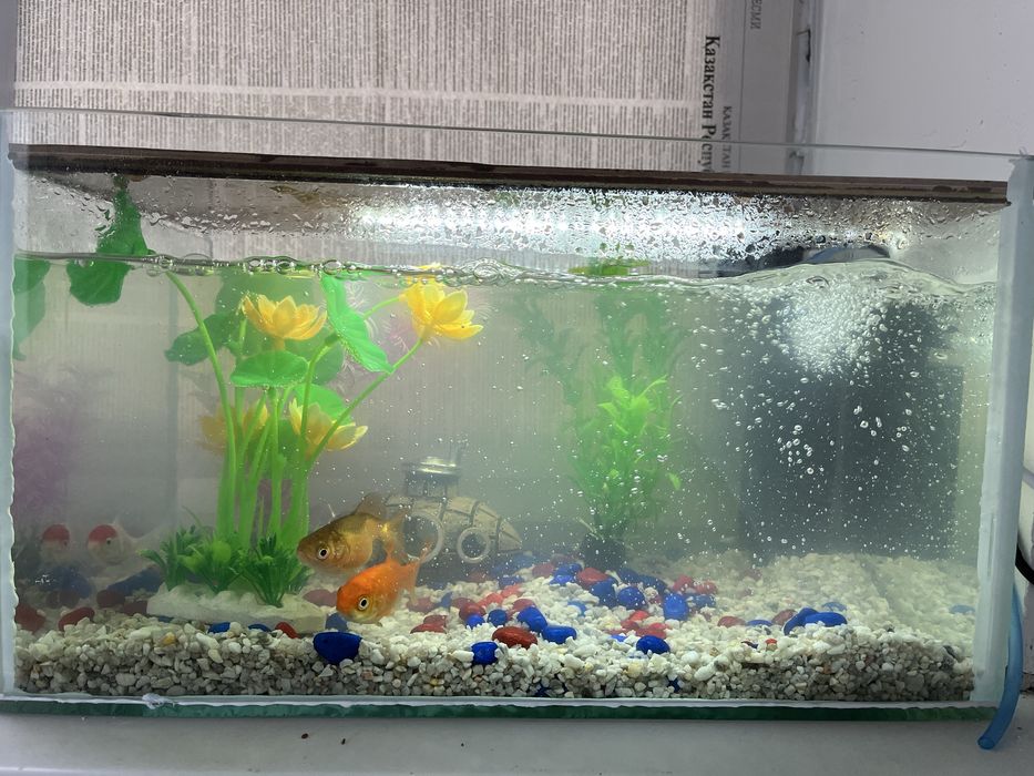 Продам аквариум все в комплекте