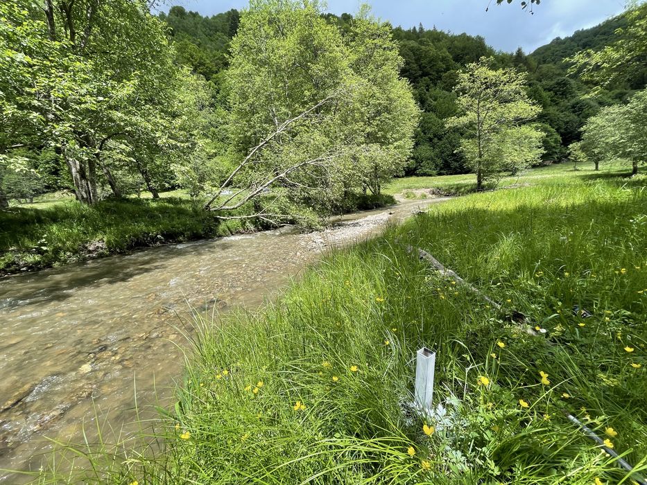 Vand teren 7500 mp Plaiul Foii Barsa lui Bucur