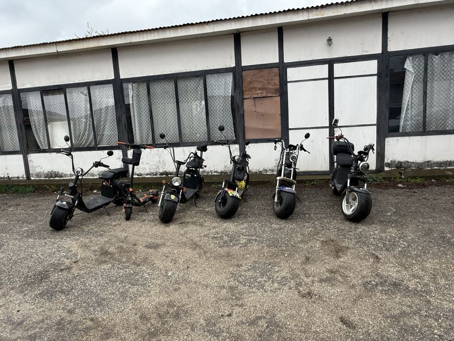 Харли 1500w 12ah