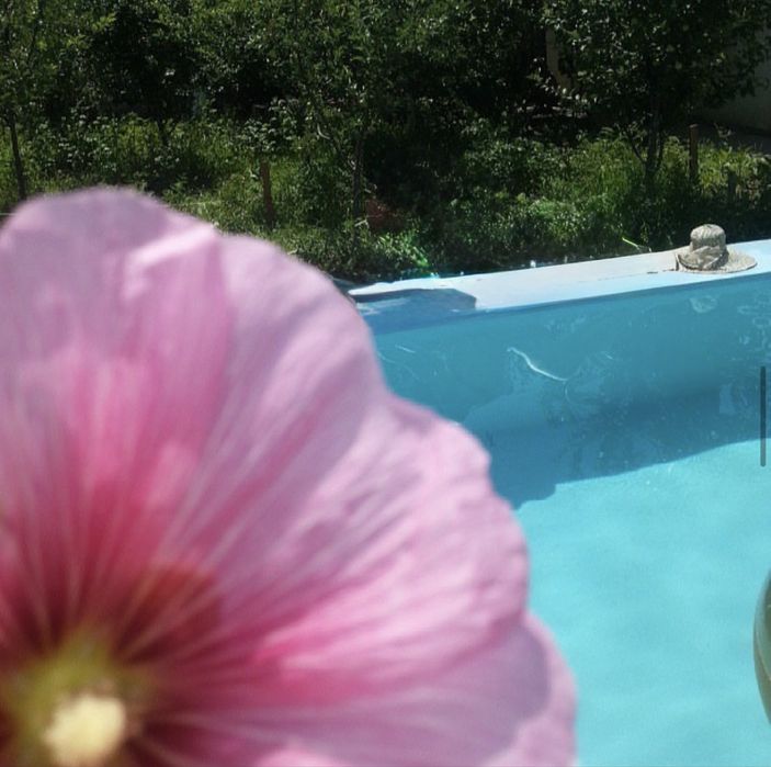 Продается своя дача в Бостанлыкском районе