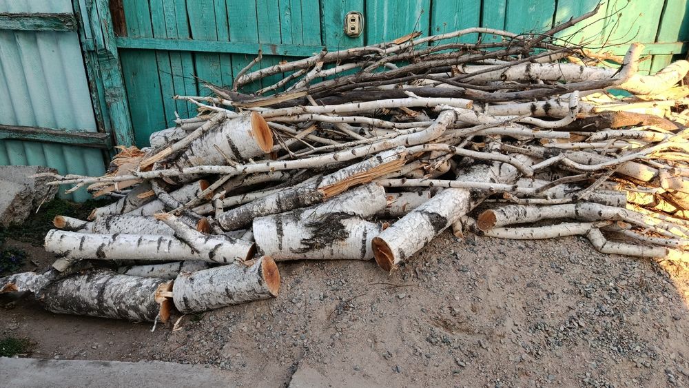 Дрова берёзовые бесплатно