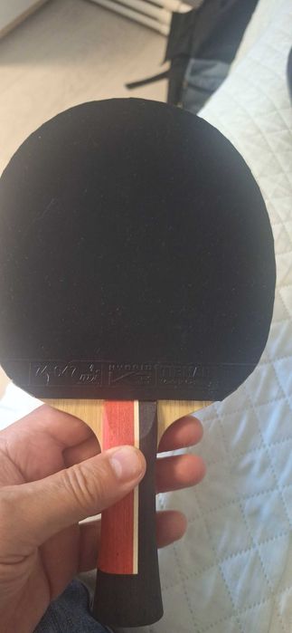 Paleta de ping pong