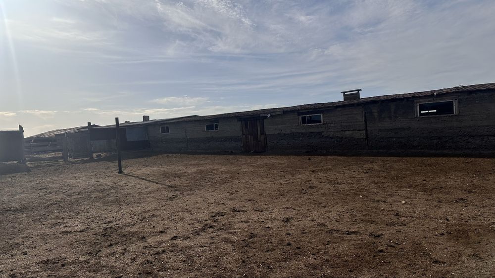 Ауыл шаруашылығы сатылады