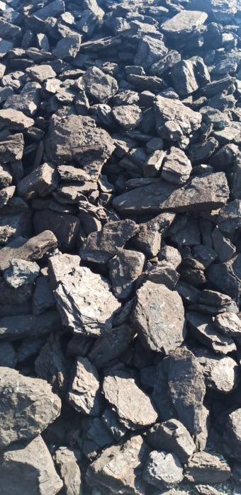 Lignit .carbune brun  mărunțit și sortat cărbune pentru încă