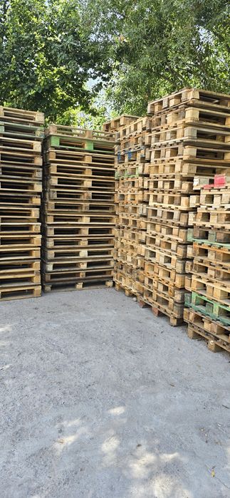 Paddon Lyoboy Razmer Bor