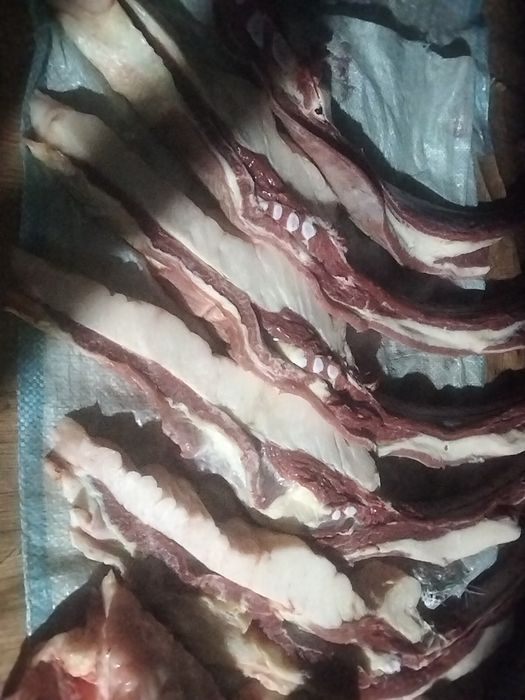 Продам соғым сирактап на любые мероприятия