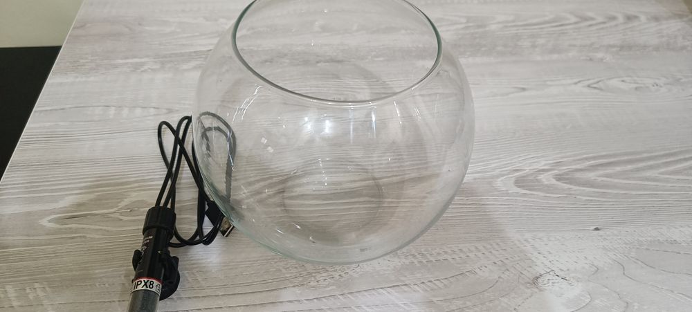 Bol peste Beta cu încălzitor acvariu