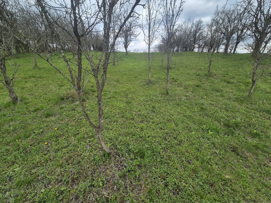 TEREN INTRAVILAN + AUTORIZAȚIE + LIVADĂ – 4.663 mp – Drajna, Făget, Prahova