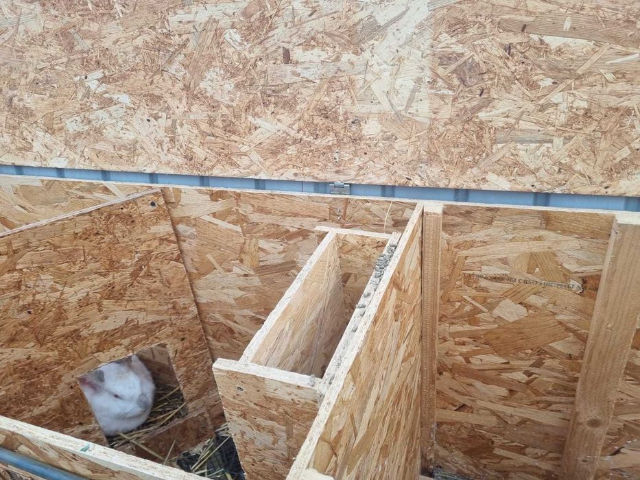 Cusca de iepuri cu iepuri totul automat