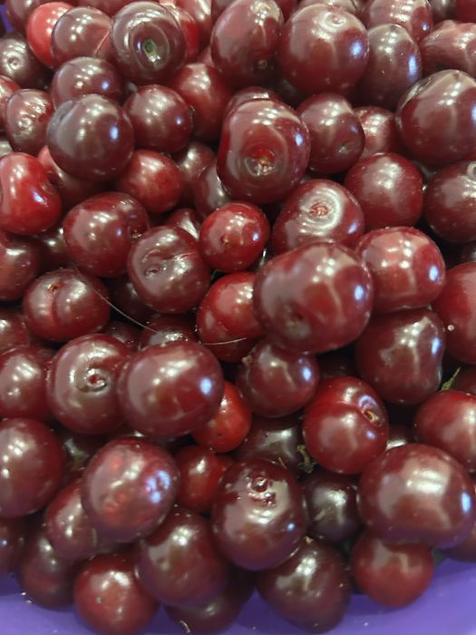 Продам дачу 131 км общество Путеец 4