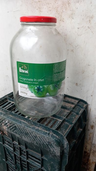Vănd borcane mari de 4 și 5 litri