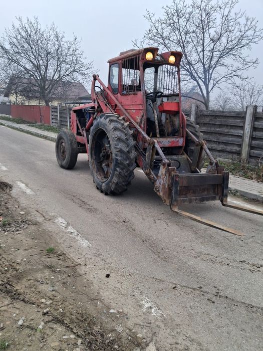 Vând ifron forestier