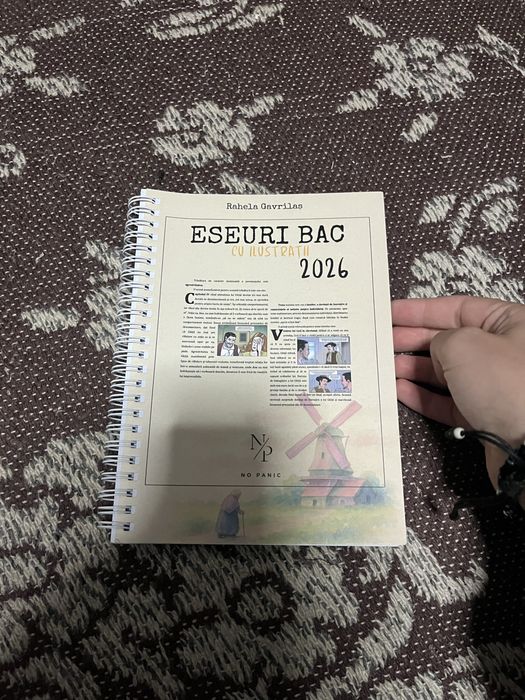 Eseuri bacalaureat