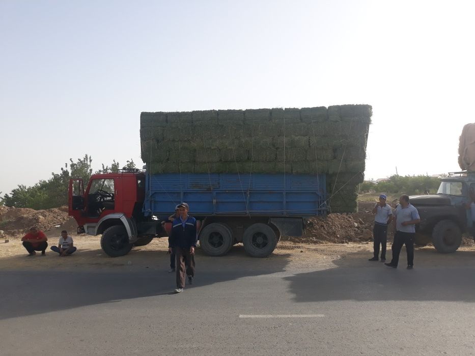 Камаз 55102 самосвал селхозник 1987 г