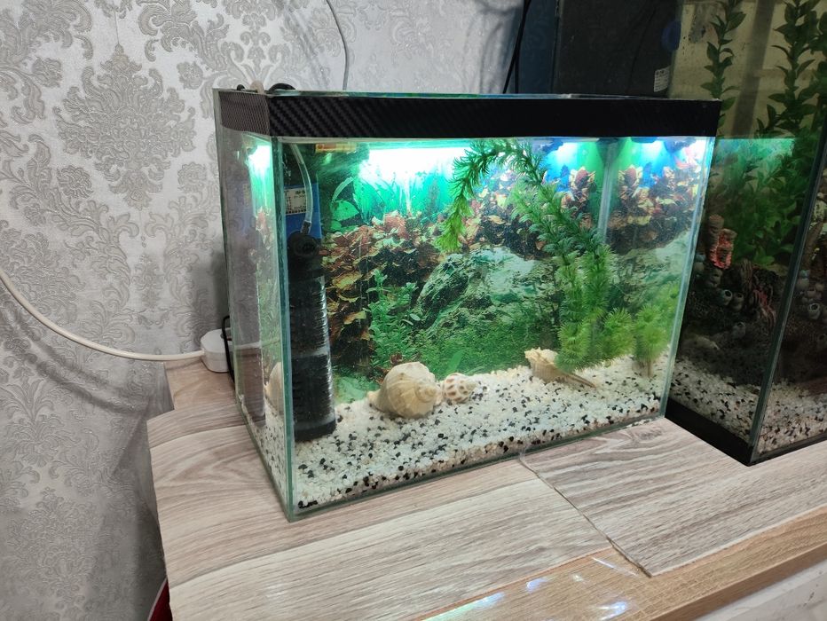 Оборудованный аквариум