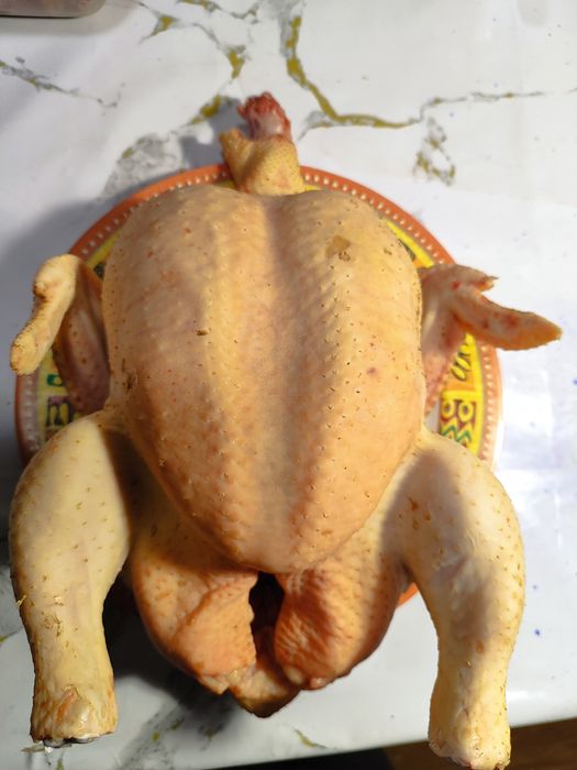 Бройлеры домашние