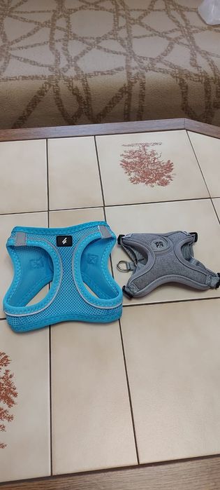 Gentuță cățel talie mică +accesorii