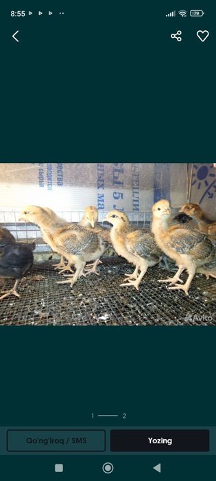 eski hikoyani ornatdi