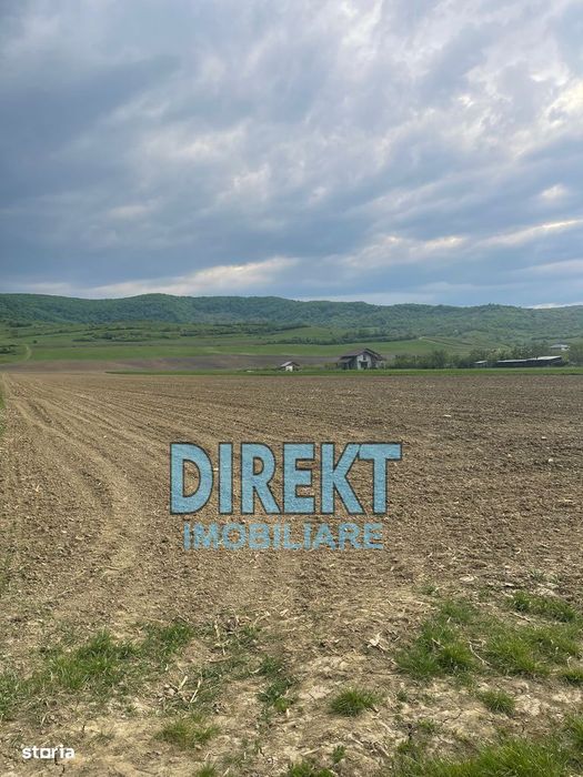 Teren de vanzare, localitatea Arcalia