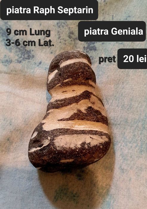 Piatra Raph Septarin / piatra geniala