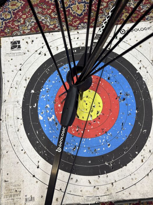 лък за стрелба с 12 бр стрели.