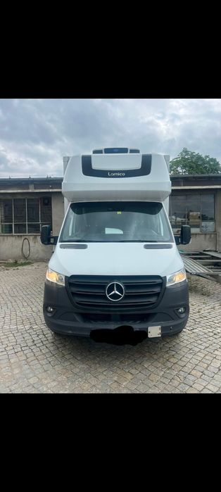 Услуги рефрижератора Мерседес спринтер