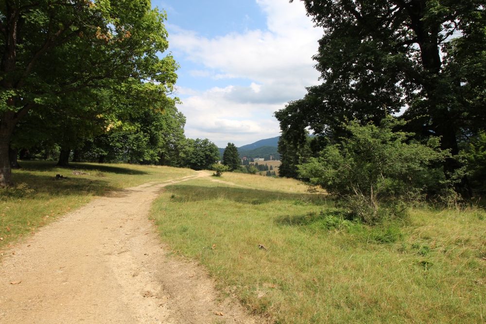 Teren Poiana Brașov 4713 mp-Zona de investiție  teren lângă Sergiana