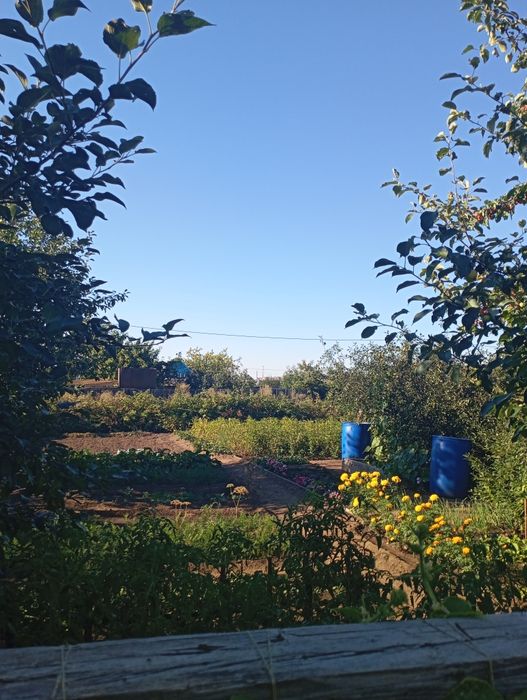 Продам дачу в городе