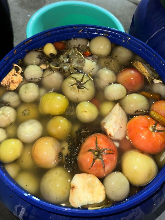 Varză ,gogonele,castraveți en-gros