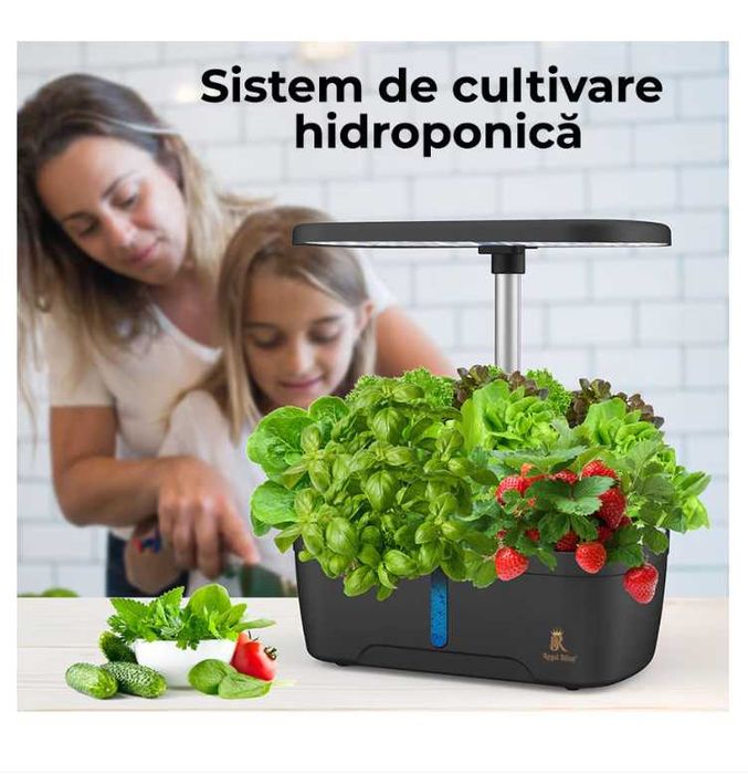 Ghiveci Inteligent, hidrofonic de Crestere, Regal Bliss