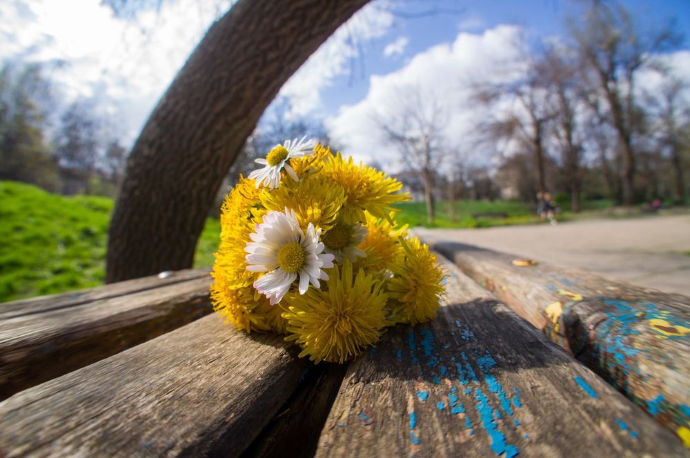 Sony 16mm F2.8 + fisheye convertor + wide convertor