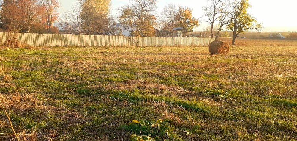 Teren intravilan 2950 mp