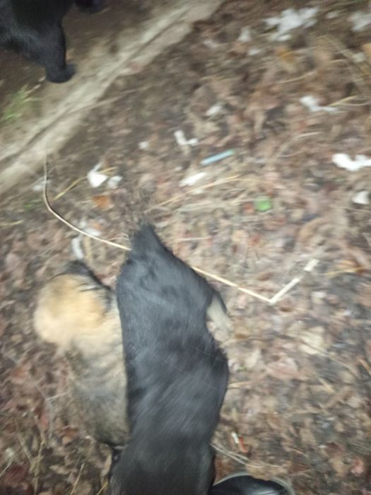 Даром мальчик 5мес