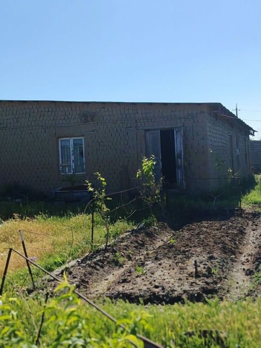 Uchastka Arendaga beriladi