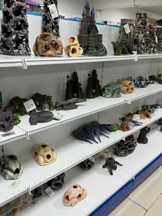 Аквариумистика в ЗООМИРЕ