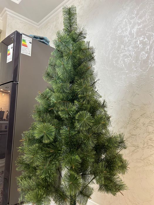 Продаю ЕЛКУ высота 175 см