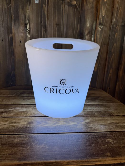 Frapiere LED RGB Cricova – 2 bucăți, cu telecomandă