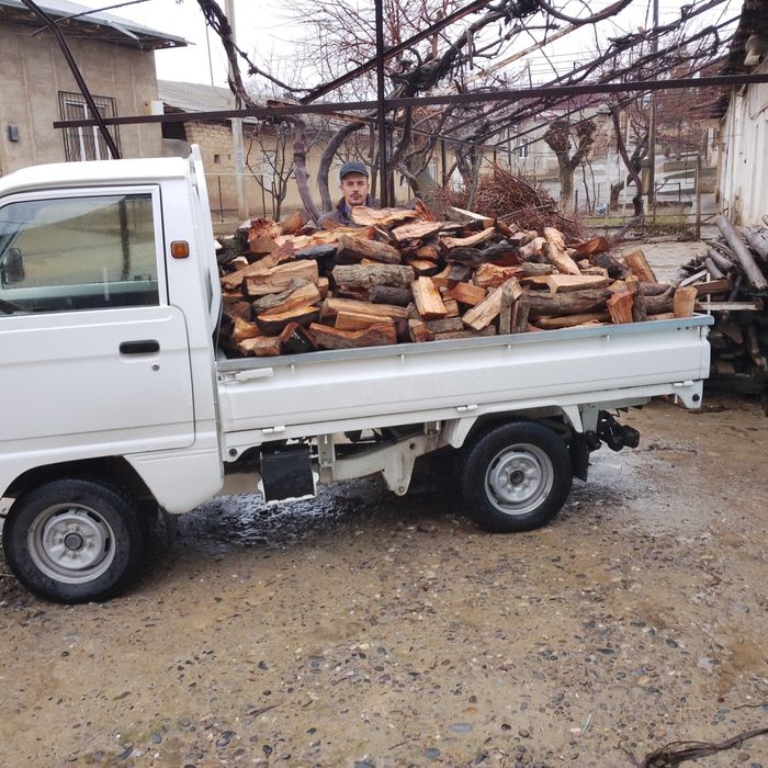 Утин дрова кесилган йорилган