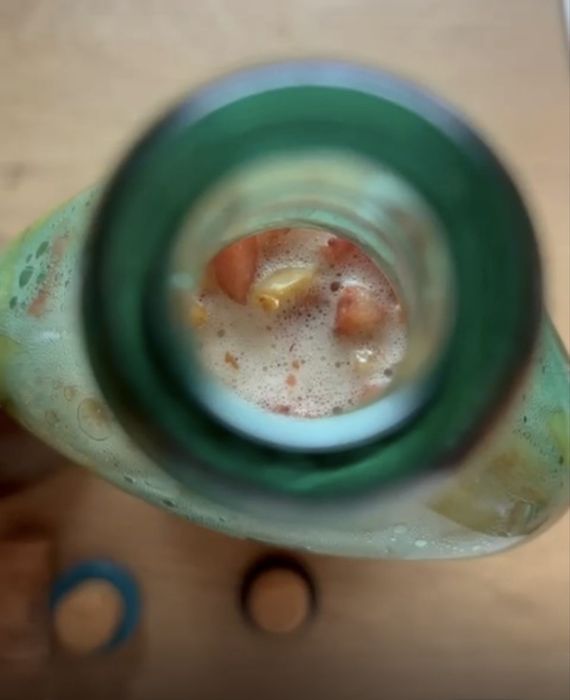 Kombucha SCOBY  kit
