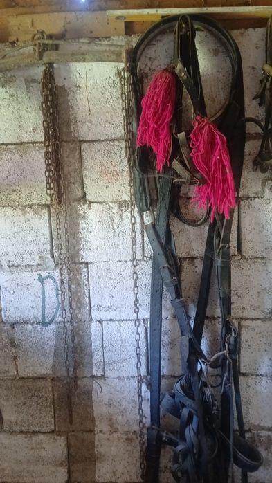 Vând tot ce se vede in poze mai multe detalii la nr de tel